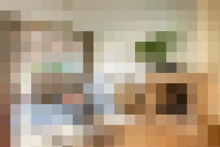 Prins Mauritslaan 100 Overveen thumbnail 7