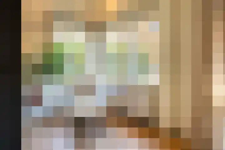 Prins Mauritslaan 100 Overveen thumbnail 8