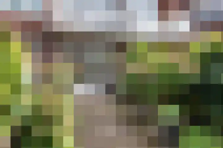 Prins Mauritslaan 104 Overveen thumbnail 15