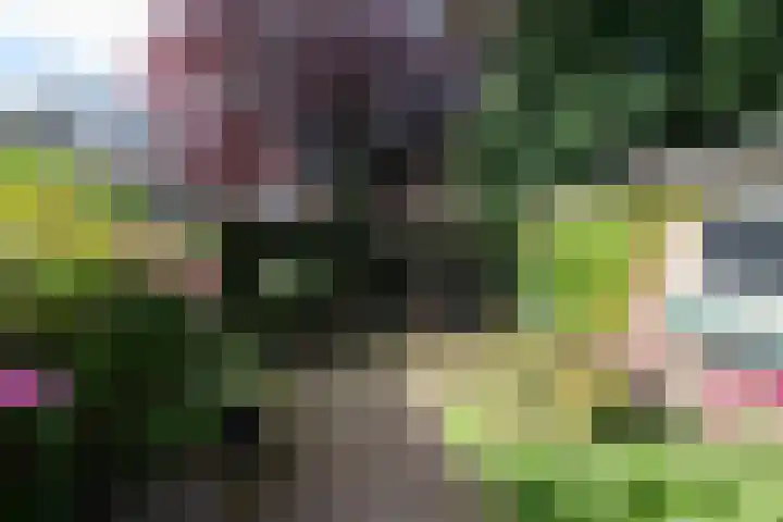 Prins Mauritslaan 104 Overveen thumbnail 16