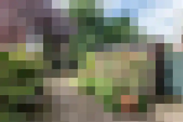 Prins Mauritslaan 104 Overveen thumbnail 17