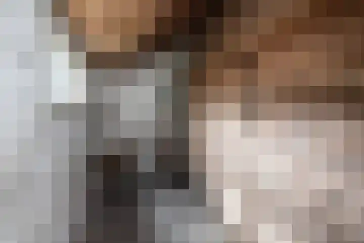 Prins Mauritslaan 104 Overveen thumbnail 18