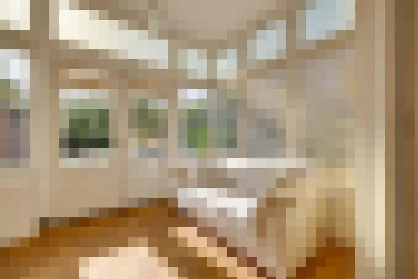 Prins Mauritslaan 11 Apeldoorn thumbnail 20
