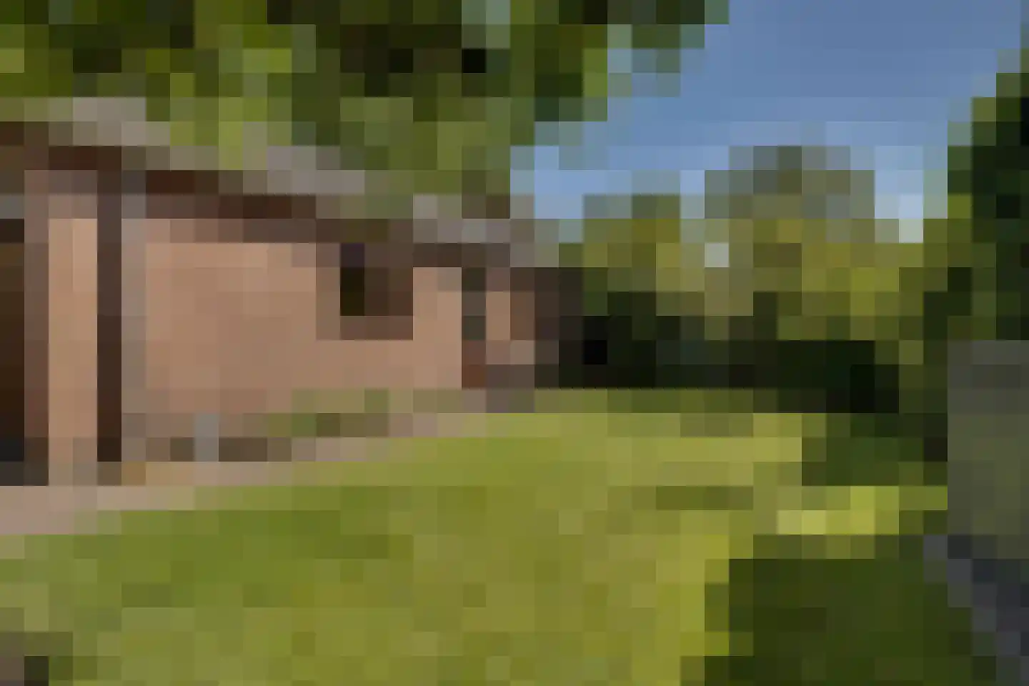 Prins Mauritslaan 11 Apeldoorn thumbnail 31