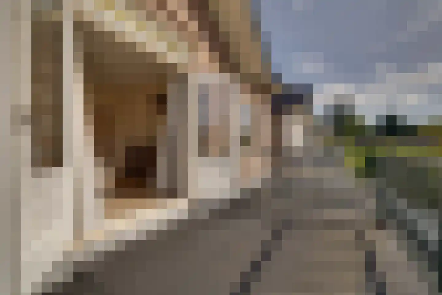 Prins Mauritslaan 11 Apeldoorn thumbnail 38