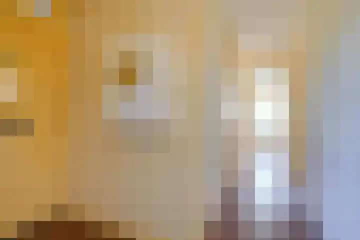 Prins Mauritslaan 116 Den Haag thumbnail 6
