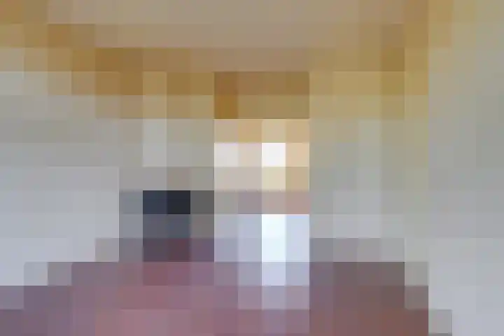Prins Mauritslaan 116 Den Haag thumbnail 8