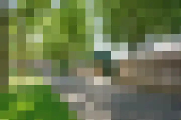 Prins Mauritslaan 119 Beek thumbnail 25