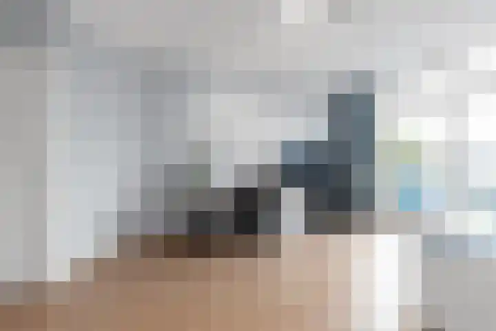 Prins Mauritslaan 136 Den Haag thumbnail 17