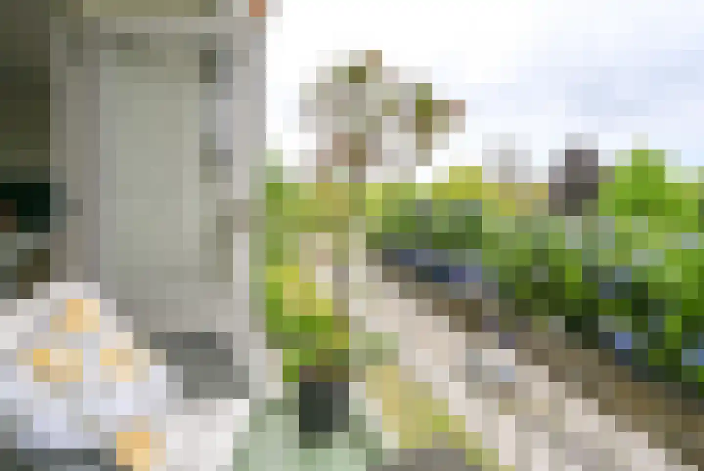 Prins Mauritslaan 2 0014 Haarlem thumbnail 13