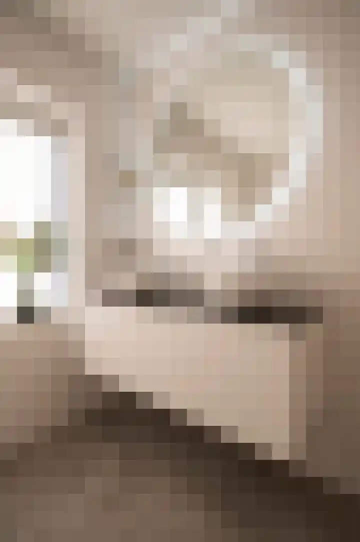Prins Mauritslaan 2 Werkhoven thumbnail 36