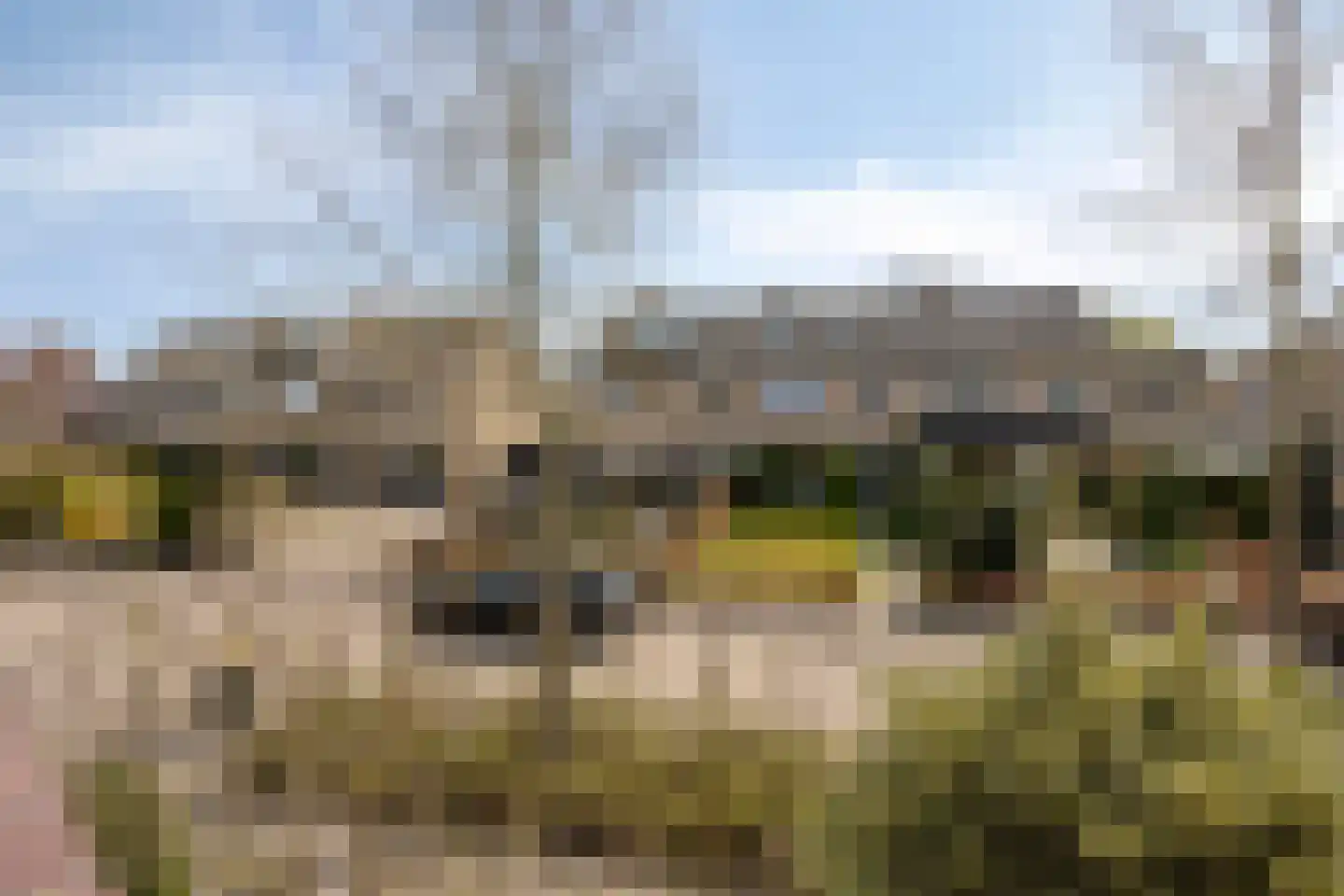 Prins Mauritslaan 3 Leusden thumbnail 23