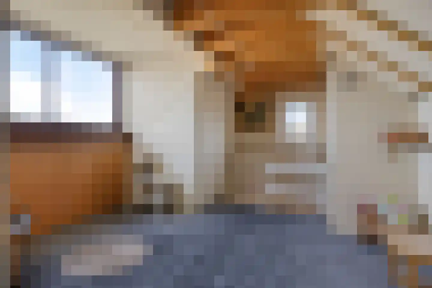 Prins Mauritslaan 3 Leusden thumbnail 30
