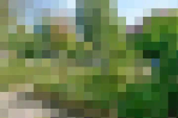 Prins Mauritslaan 34 Bussum thumbnail 29
