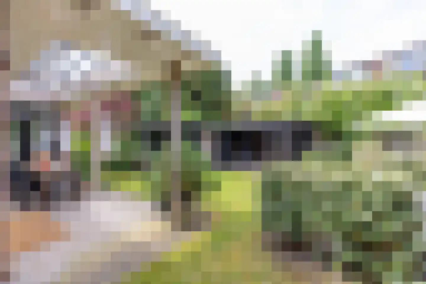 Prins Mauritslaan 36 Bussum foto 3