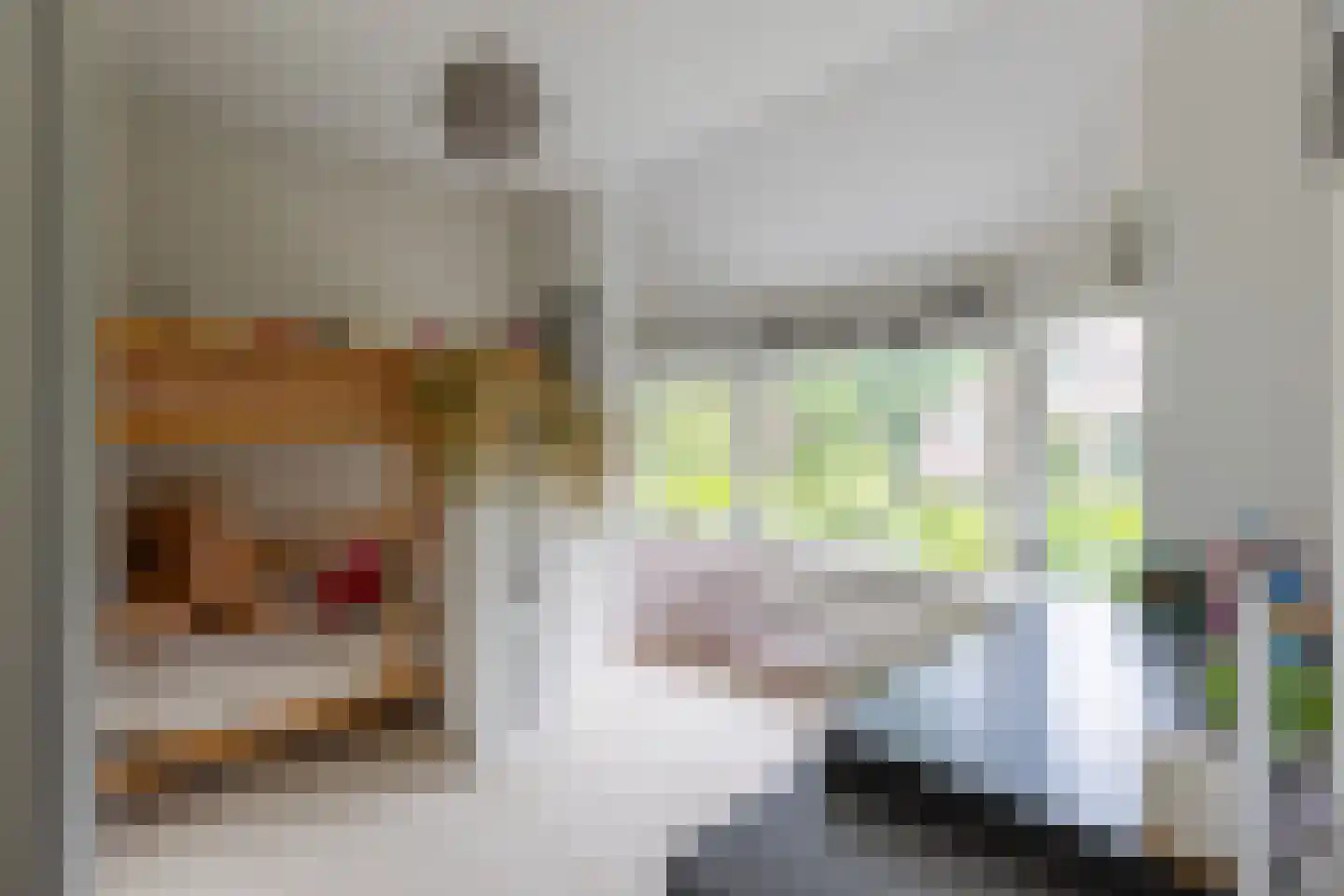 Prins Mauritslaan 36 Bussum thumbnail 32