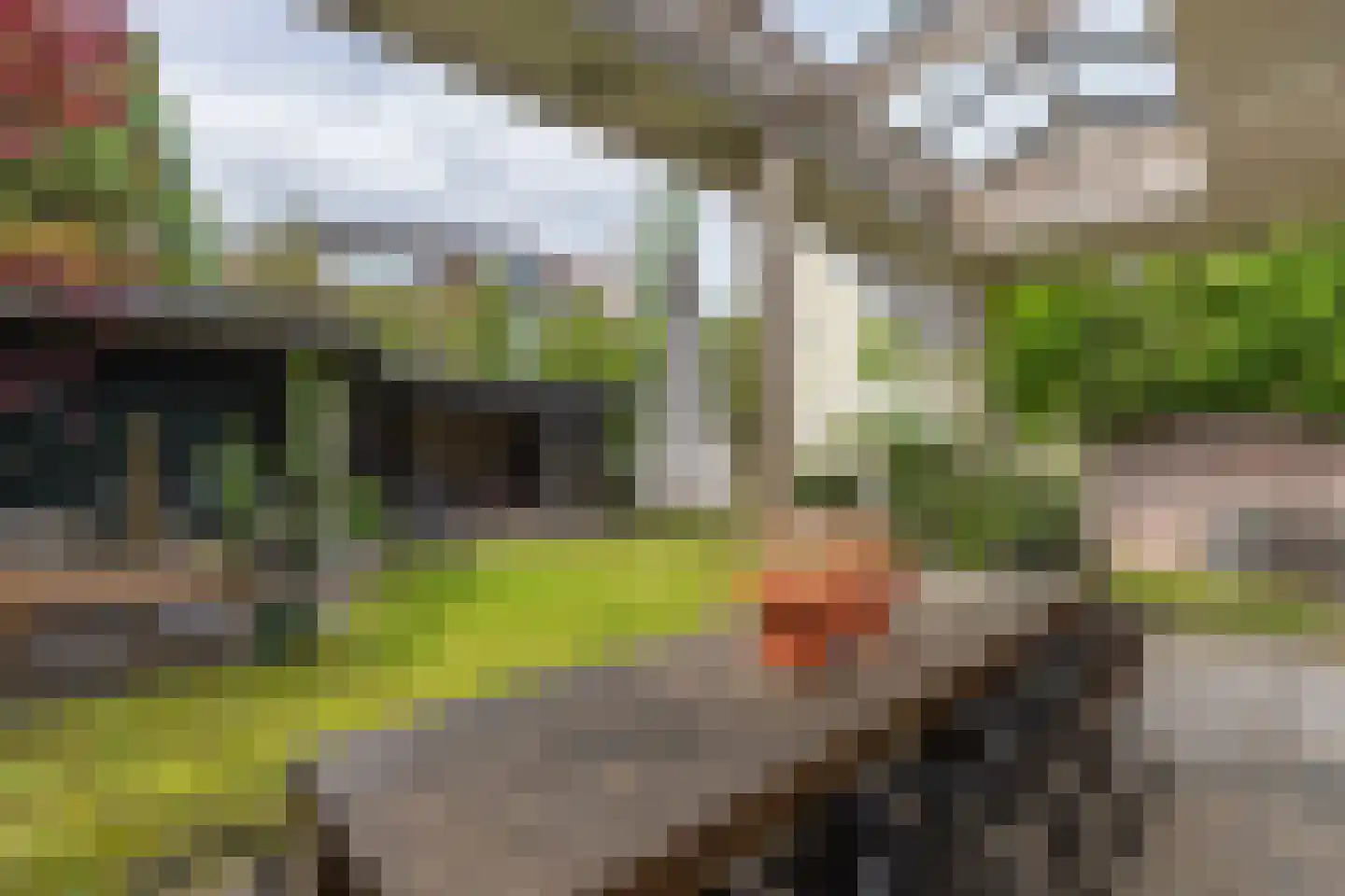 Prins Mauritslaan 36 Bussum thumbnail 42