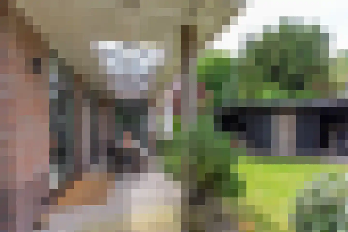 Prins Mauritslaan 36 Bussum thumbnail 50
