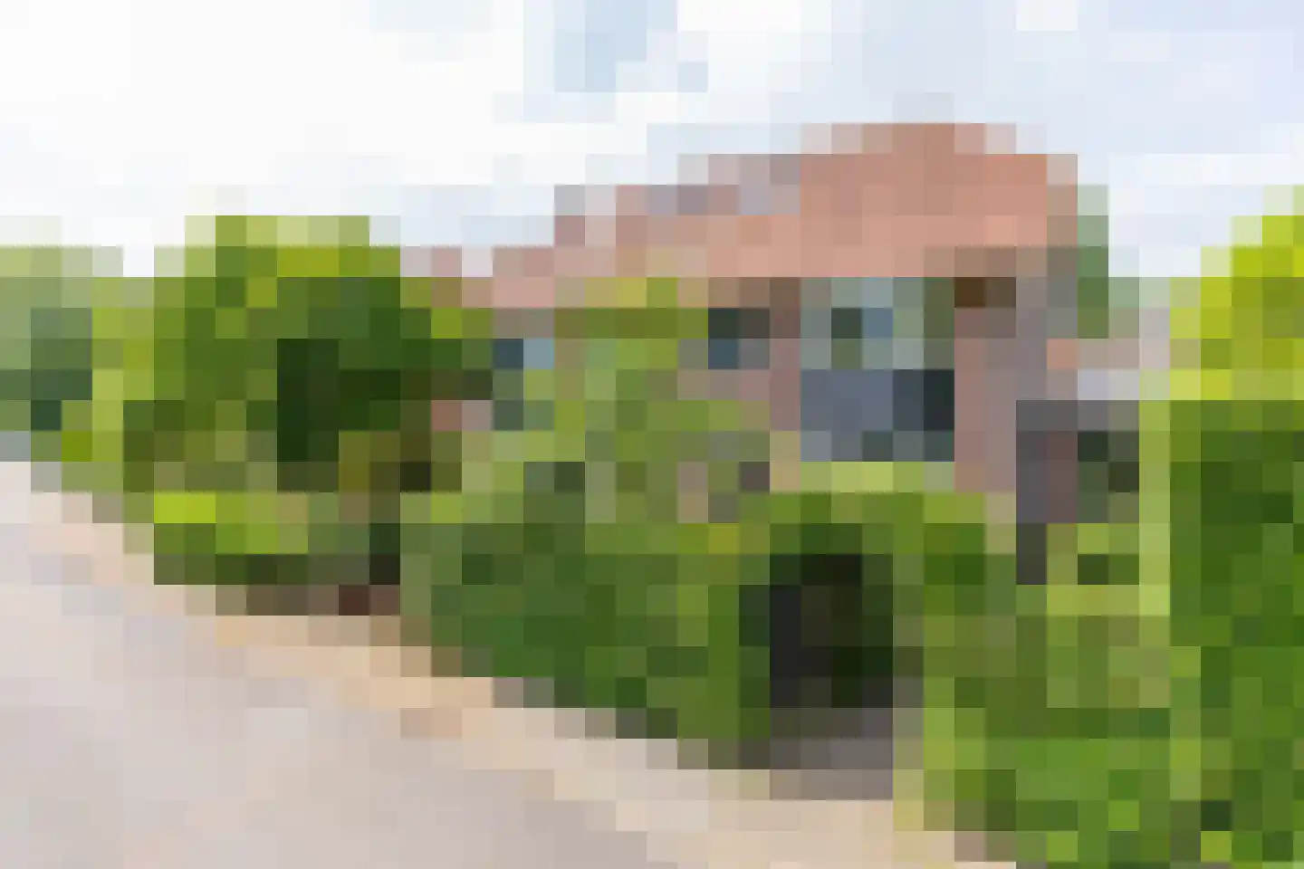 Prins Mauritslaan 36 Bussum thumbnail 54