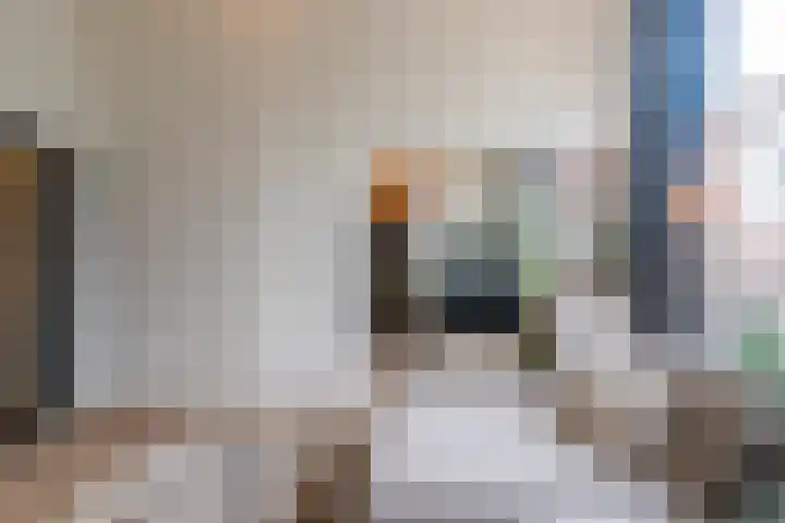 Prins Mauritslaan 43 B Den Haag thumbnail 9