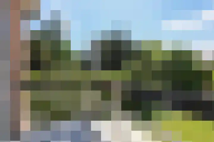 Prins Mauritslaan 5 Apeldoorn thumbnail 18