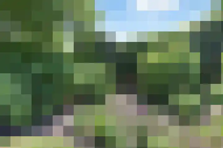 Prins Mauritslaan 5 Apeldoorn thumbnail 33