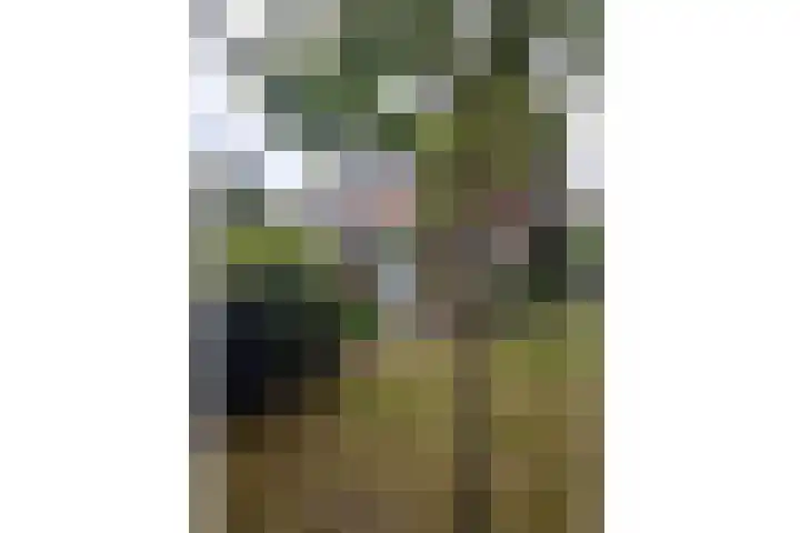 Prins Mauritslaan 5 Apeldoorn thumbnail 36
