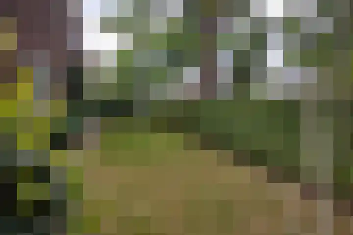 Prins Mauritslaan 5 Apeldoorn thumbnail 37