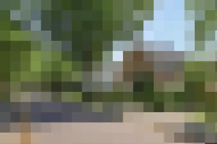 Prins Mauritslaan 5 Apeldoorn thumbnail 4