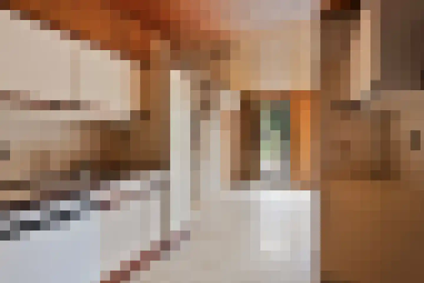 Prins Mauritslaan 5 Maastricht thumbnail 10