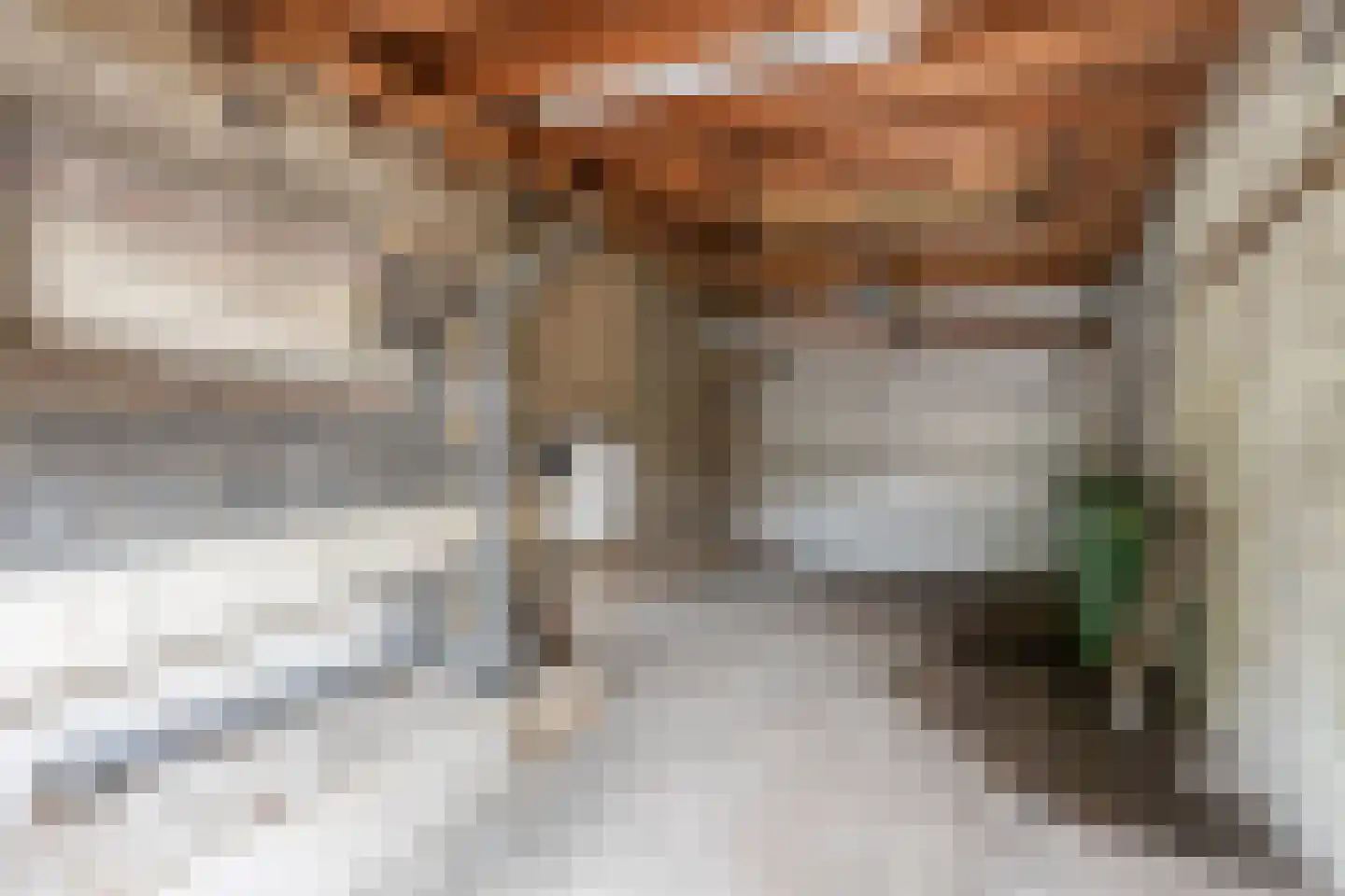 Prins Mauritslaan 5 Maastricht thumbnail 30
