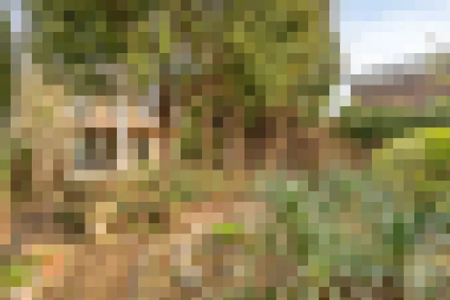 Prins Mauritslaan 5 Maastricht thumbnail 33