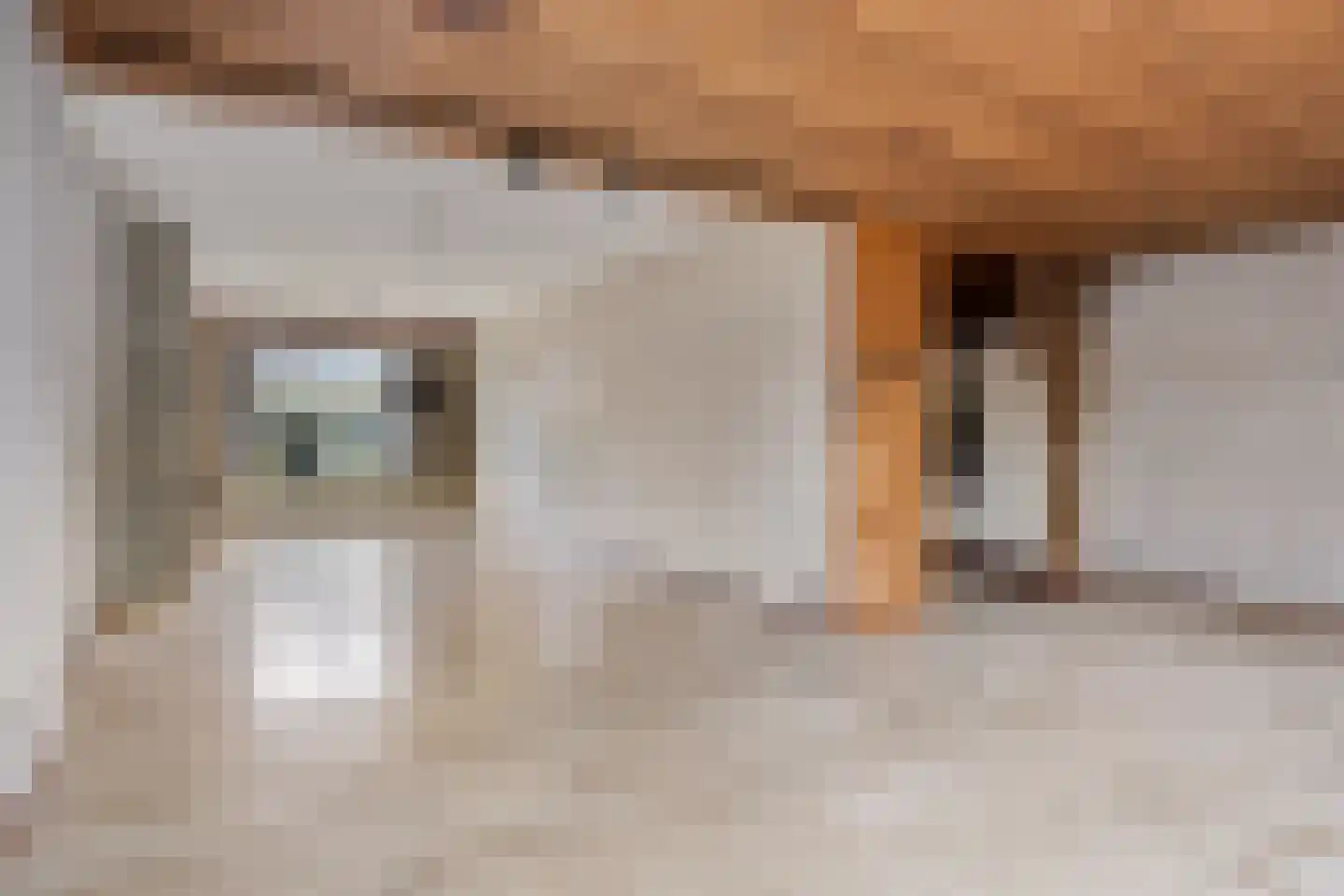 Prins Mauritslaan 5 Maastricht thumbnail 8