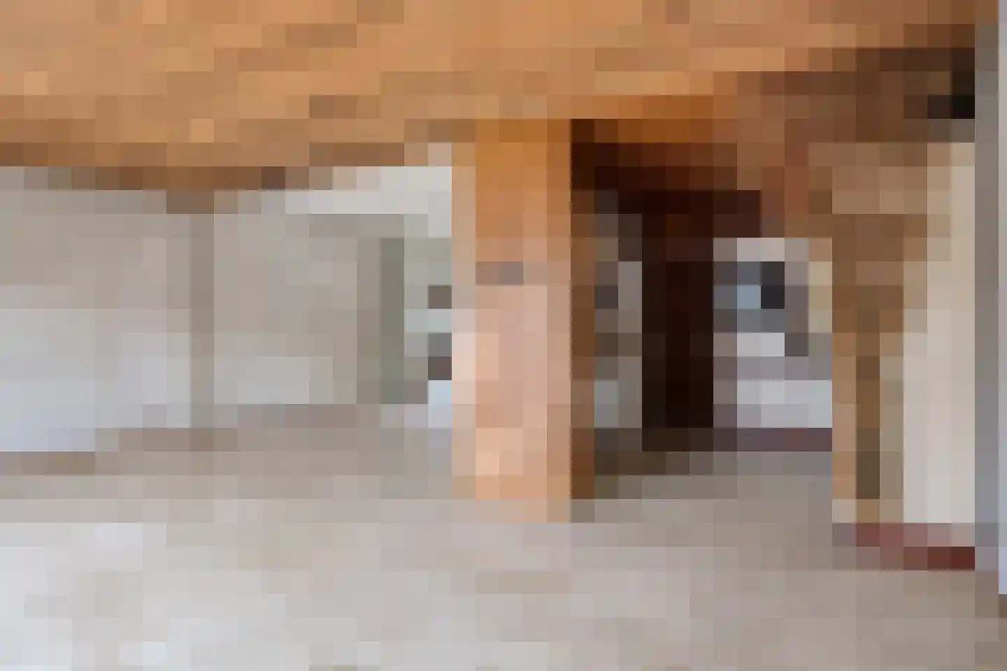 Prins Mauritslaan 5 Maastricht thumbnail 9
