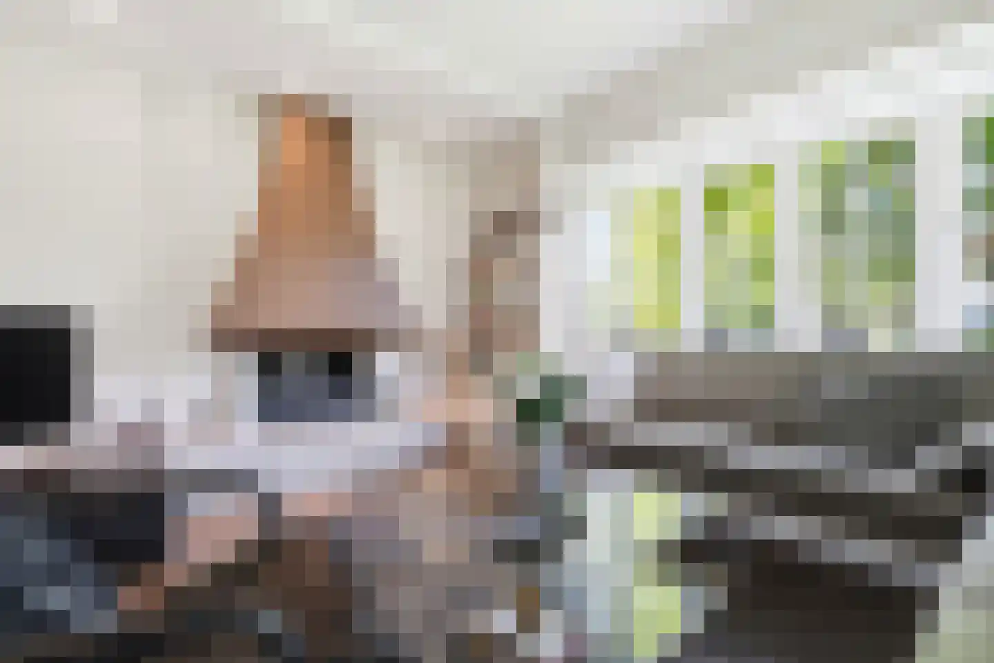 Prins Mauritslaan 5 Vlissingen thumbnail 10