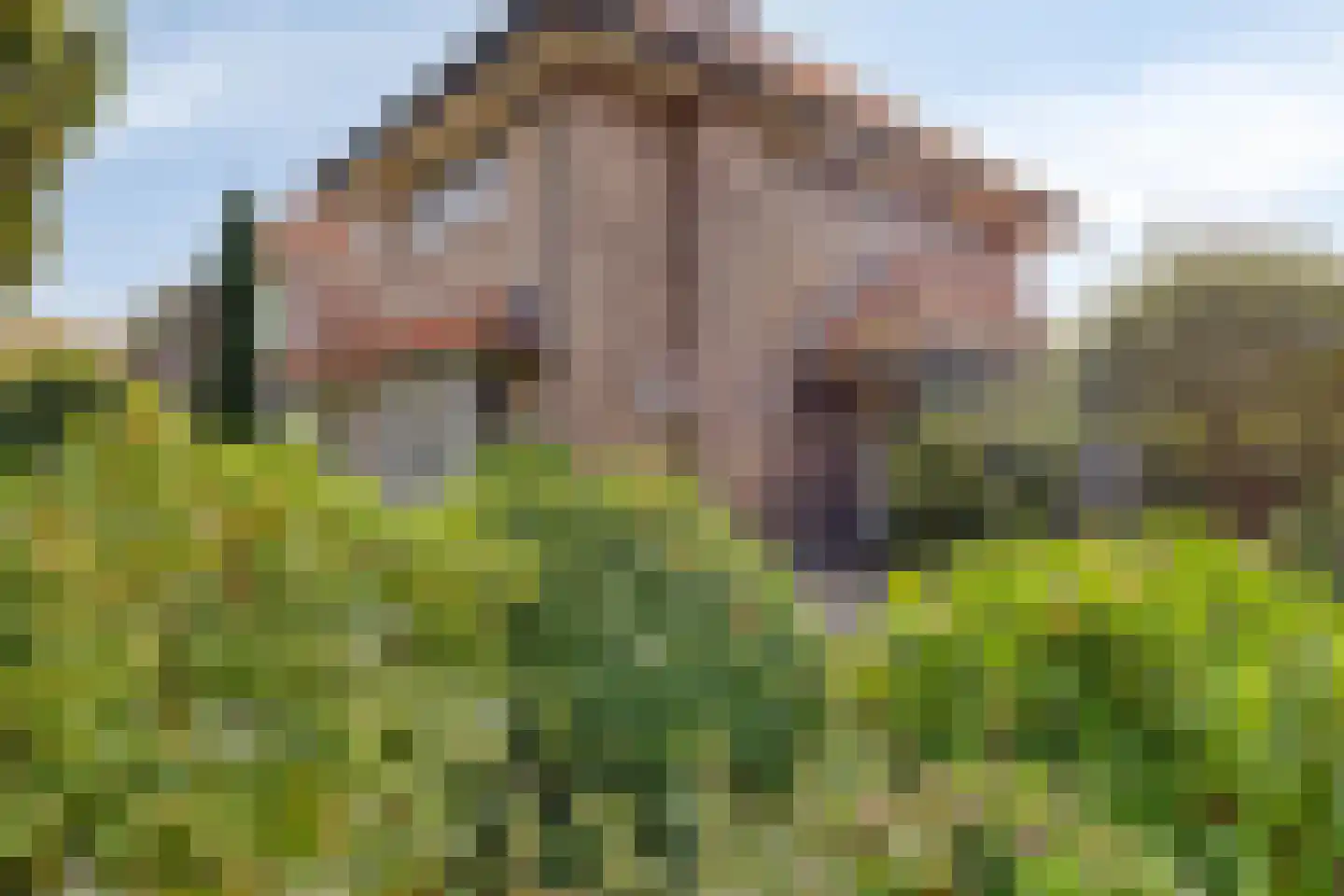 Prins Mauritslaan 5 Vlissingen thumbnail 29