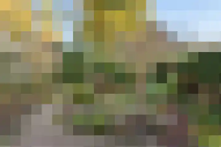 Prins Mauritslaan 5 Zeist thumbnail 48
