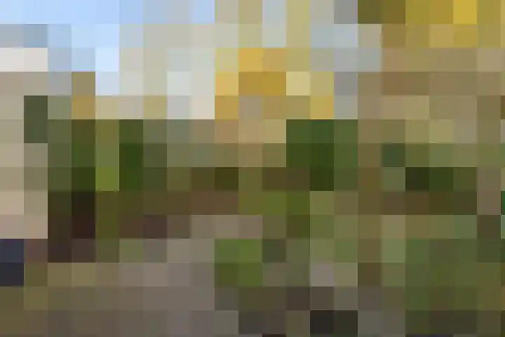 Prins Mauritslaan 5 Zeist thumbnail 49