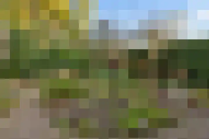 Prins Mauritslaan 5 Zeist thumbnail 50