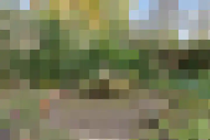 Prins Mauritslaan 5 Zeist thumbnail 51