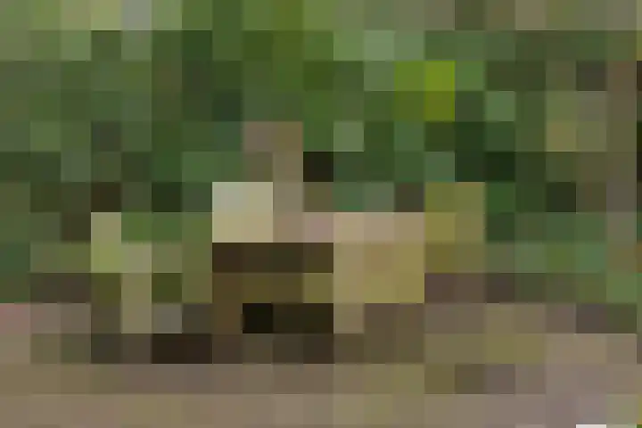 Prins Mauritslaan 5 Zeist thumbnail 52