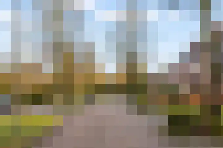 Prins Mauritslaan 5 Zeist thumbnail 56