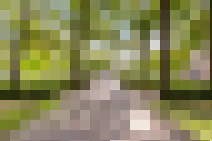 Prins Mauritslaan 5 Zeist thumbnail 63