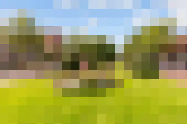 Prins Mauritslaan 5 Zeist thumbnail 65