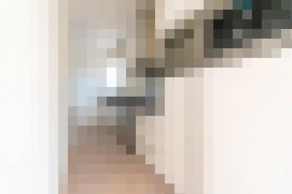 Prins Mauritslaan 69 A Den Haag thumbnail 11