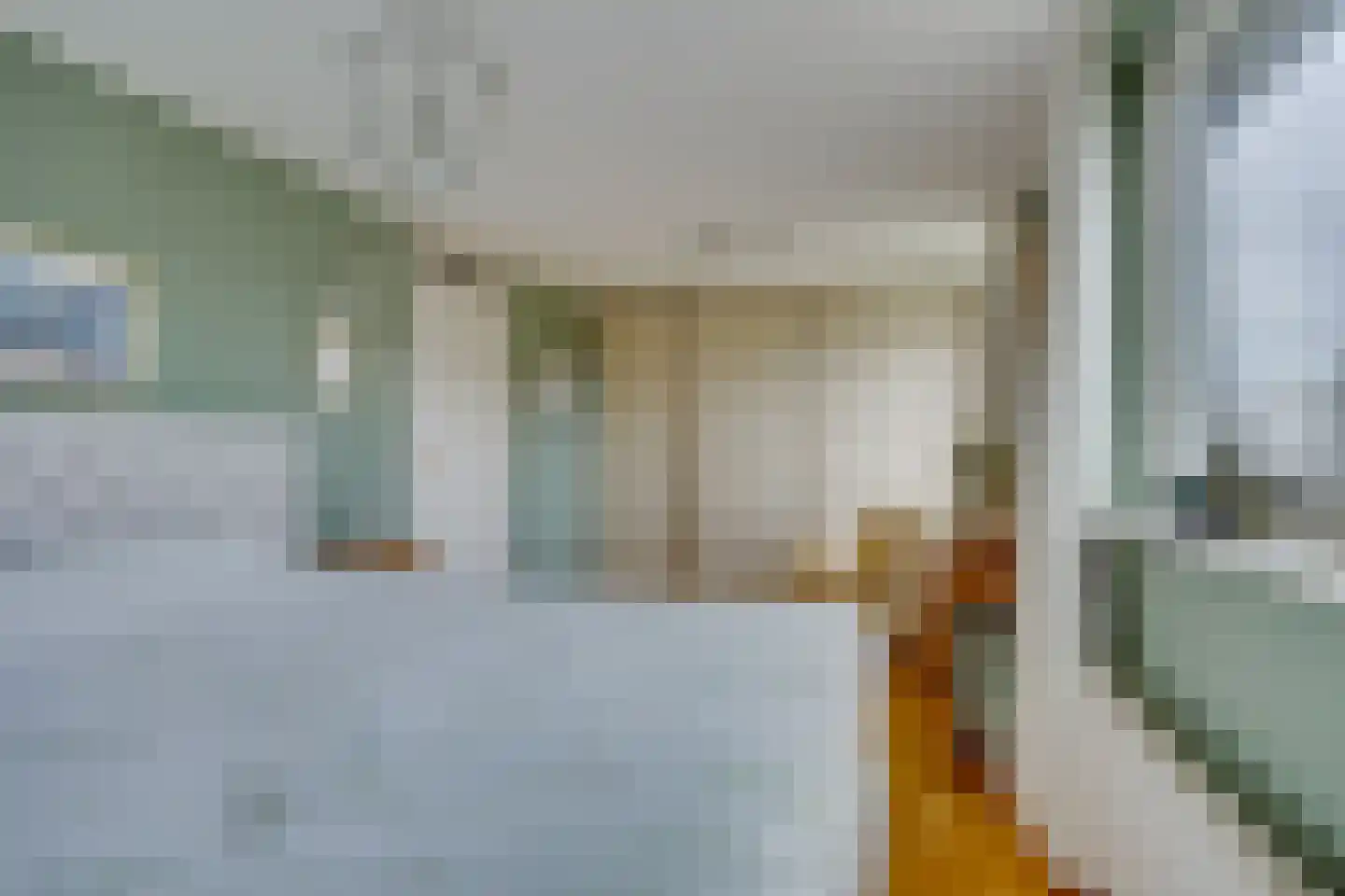 Prins Mauritslaan 8 Leusden thumbnail 18