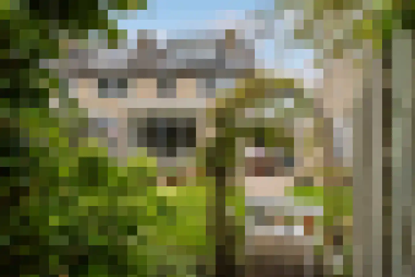 Prins Mauritslaan 8 Leusden thumbnail 35