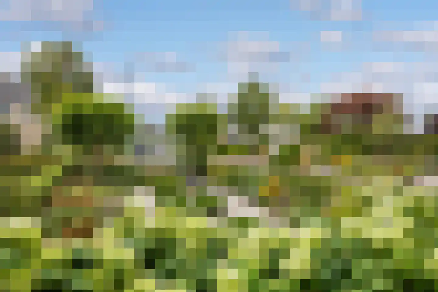 Prins Mauritslaan 8 Leusden thumbnail 37