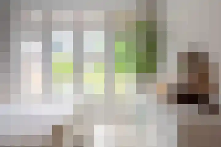 Prins Mauritslaan 90 Overveen thumbnail 37