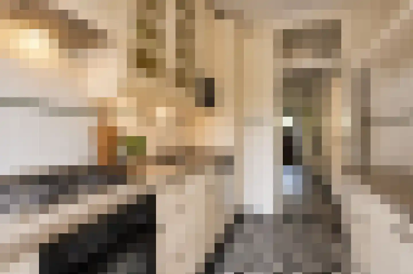 Prins Mauritslaan 96 Overveen thumbnail 13